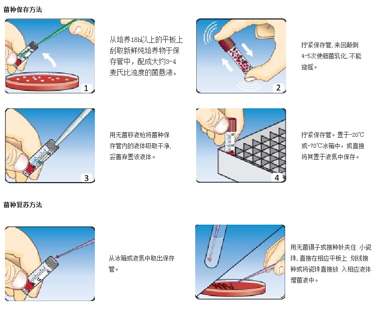 菌種保存方法